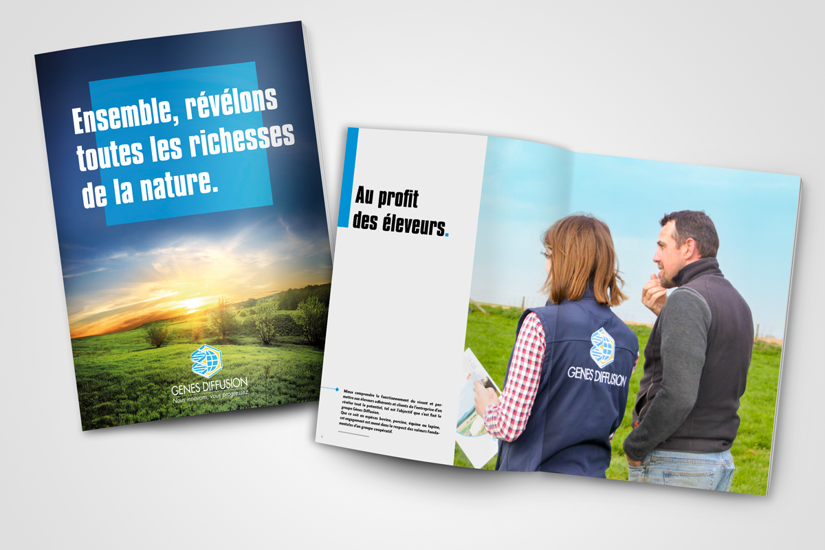 Rapport activité Gènes Diffusion